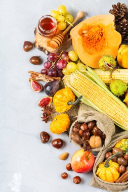 Sonbahar sonbahar hasat arka plan Kabak elma kestane Mısır ile