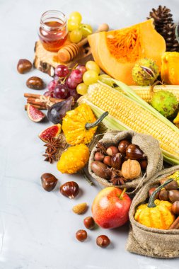 Sonbahar sonbahar hasat arka plan Kabak elma kestane Mısır ile