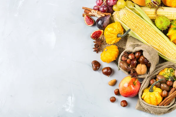 Herbst Herbst Ernte Hintergrund mit Kürbis Apfel Kastanien Mais — Stockfoto