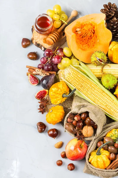 Sonbahar sonbahar hasat arka plan Kabak elma kestane Mısır ile