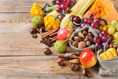 Sonbahar sonbahar hasat arka plan Kabak elma kestane Mısır ile