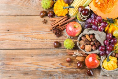 Sonbahar sonbahar hasat arka plan Kabak elma kestane Mısır ile