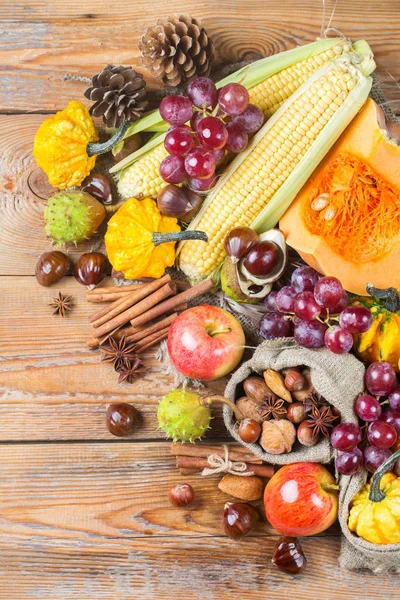 Sonbahar sonbahar hasat arka plan Kabak elma kestane Mısır ile