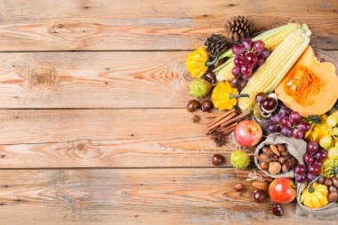 Sonbahar sonbahar hasat arka plan Kabak elma kestane Mısır ile