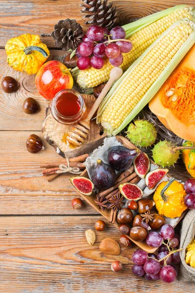 Sonbahar sonbahar hasat arka plan Kabak elma kestane Mısır ile