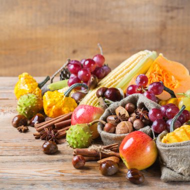 Sonbahar sonbahar hasat arka plan Kabak elma kestane Mısır ile