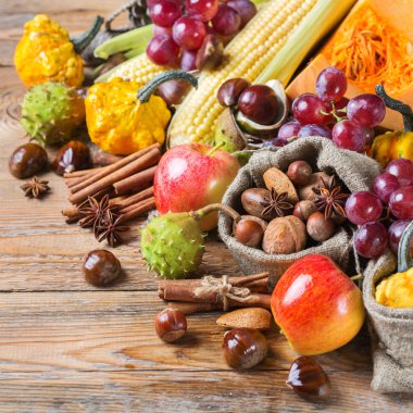 Sonbahar sonbahar hasat arka plan Kabak elma kestane Mısır ile