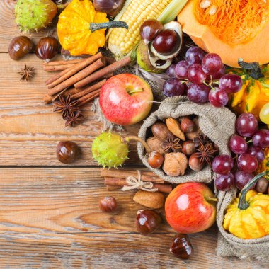 Sonbahar sonbahar hasat arka plan Kabak elma kestane Mısır ile