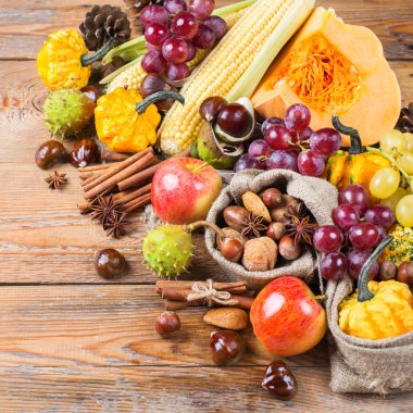 Sonbahar sonbahar hasat arka plan Kabak elma kestane Mısır ile