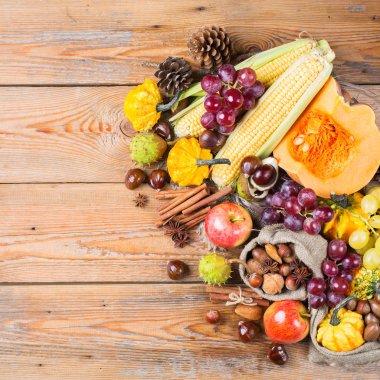 Sonbahar sonbahar hasat arka plan Kabak elma kestane Mısır ile