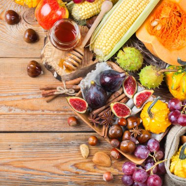 Sonbahar sonbahar hasat arka plan Kabak elma kestane Mısır ile