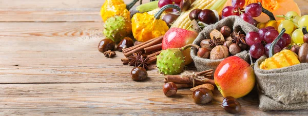 Sonbahar sonbahar hasat arka plan Kabak elma kestane Mısır ile