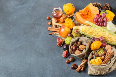 Sonbahar sonbahar Şükran günü arka plan ile Kabak elma kestane mısır hasat