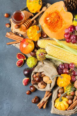 Sonbahar sonbahar Şükran günü arka plan ile Kabak elma kestane mısır hasat