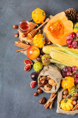 Sonbahar sonbahar Şükran günü arka plan ile Kabak elma kestane mısır hasat