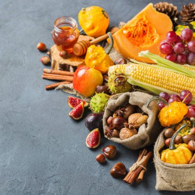 Sonbahar sonbahar Şükran günü arka plan ile Kabak elma kestane mısır hasat