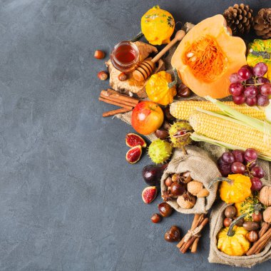 Sonbahar sonbahar Şükran günü arka plan ile Kabak elma kestane mısır hasat