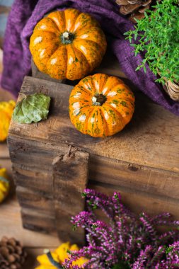 Sonbahar sonbahar hasat arka plan Şükran dekoratif şenlikli kabak ile