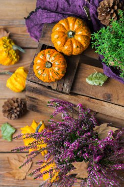Sonbahar sonbahar hasat arka plan Şükran dekoratif şenlikli kabak ile