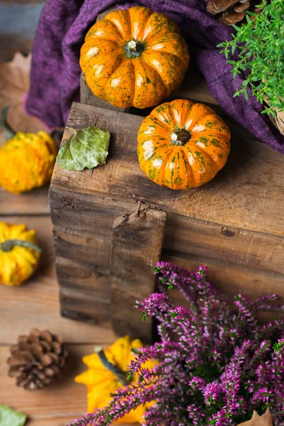 Sonbahar sonbahar hasat arka plan Şükran dekoratif şenlikli kabak ile