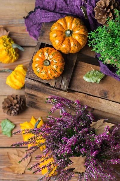 Sonbahar sonbahar hasat arka plan Şükran dekoratif şenlikli kabak ile