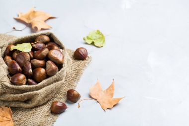 Hasat sonbahar sonbahar kavramı. Olgun çiğ kestane tuval çanta