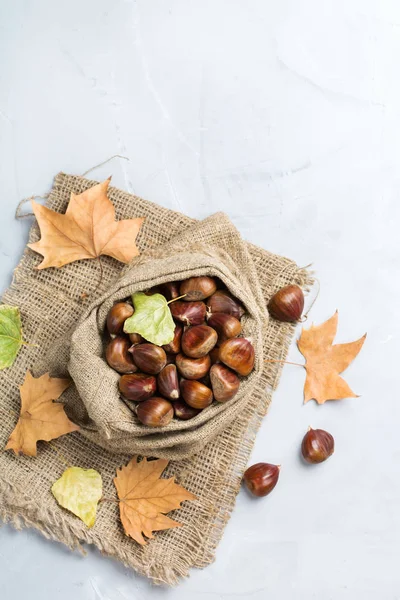 Ernteherbstkonzept. reife rohe Kastanien in Leinentasche — Stockfoto