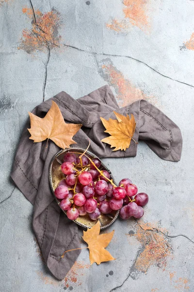 Herfst Herfst Oogst Concept Rijpe Sappige Rode Druiven Een Gezellige — Stockfoto