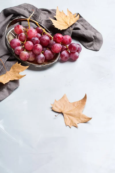 Herfst Herfst Oogst Concept Rijpe Sappige Rode Druiven Een Gezellige — Stockfoto