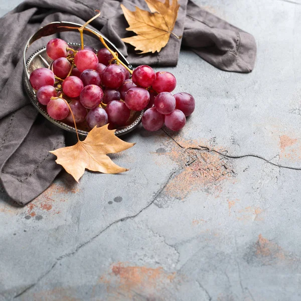 Herfst Herfst Oogst Concept Rijpe Sappige Rode Druiven Een Gezellige — Stockfoto