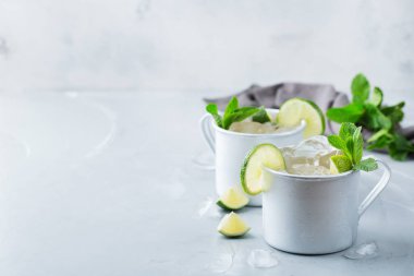 Gıda ve içecek, tatil partisi konsepti. Soğuk taze klasik içecek Moskova katır kokteyl votka, Zencefilli bira ile gümüş bir kupa. limon ve nane yaz günlerinde serinlemek için. Alan arka plan kopyalama