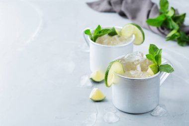 Gıda ve içecek, tatil partisi konsepti. Soğuk taze klasik içecek Moskova katır kokteyl votka, Zencefilli bira ile gümüş bir kupa. limon ve nane yaz günlerinde serinlemek için. Alan arka plan kopyalama
