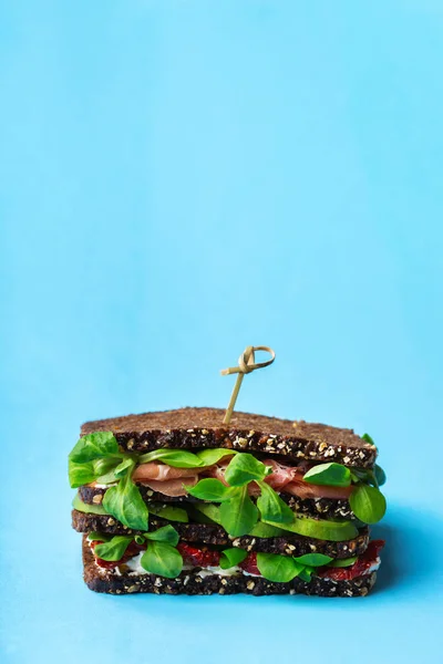 Frisches Roggenbrot-Sandwich mit Schinken, Salat und Tomaten — Stockfoto