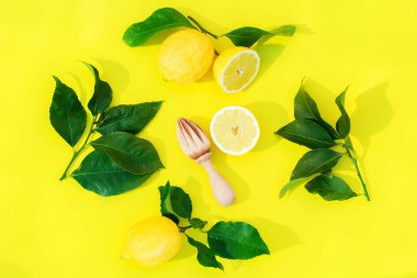 Yaz, yemek, vitamin, bağışıklık güçlendirici konsept. Sarı arka planda yaprakları olan tropikal limon meyveli yaratıcı kompozisyon. Düz yatıyordu, sert, sert, canlı ışık ve gölgeyle üstten bakışı vardı