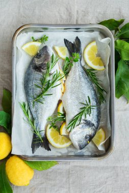 Taze, çiğ deniz kestanesi, limonlu dorada balığı, biberiye, kekik otu, şifalı otlar, mutfak masasında zeytinyağı. Üst görünüm, düz arkaplan 