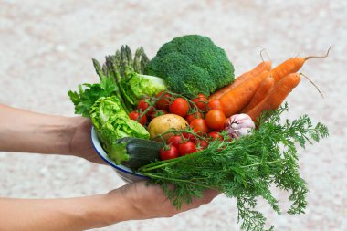 Meyve bahçesinden olgun sebzeler çiftçilerin elinde. Hasat konsepti, çiftlik, pazar, organik gıda teslimatı, sıfır atık, çevre dostu konsept.