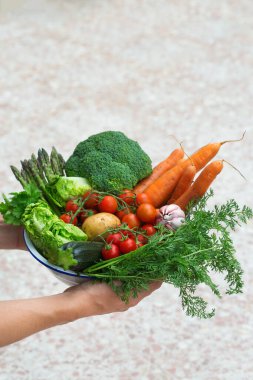 Meyve bahçesinden olgun sebzeler çiftçilerin elinde. Hasat konsepti, çiftlik, pazar, organik gıda teslimatı, sıfır atık, çevre dostu konsept.