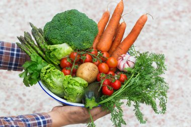 Meyve bahçesinden olgun sebzeler çiftçilerin elinde. Hasat konsepti, çiftlik, pazar, organik gıda teslimatı, sıfır atık, çevre dostu konsept.