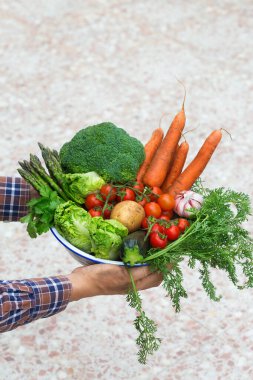 Meyve bahçesinden olgun sebzeler çiftçilerin elinde. Hasat konsepti, çiftlik, pazar, organik gıda teslimatı, sıfır atık, çevre dostu konsept.