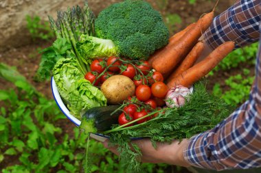 Meyve bahçesinden olgun sebzeler çiftçilerin elinde. Hasat konsepti, çiftlik, pazar, organik gıda teslimatı, sıfır atık, çevre dostu konsept.