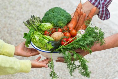 Meyve bahçesinden el ele tutuşan yaşlı çiftçi kadın onu genç bir çocuğa veriyor. Olgun ev yapımı sebzeler. Organik pazar, biyolojik gıda teslimatı, sıfır atık, çevre dostu konsept.