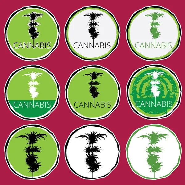 Cannabis Blommande Växt Silhuett Vektor Design Märke — Stockfoto