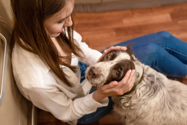 Femeia Tânără Cămașă Albă Mângâie Ușor Câinele Așezat Podea Bucătărie Imagine de stoc