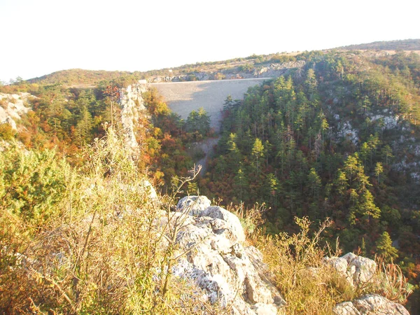 Ліс і hillside — стокове фото