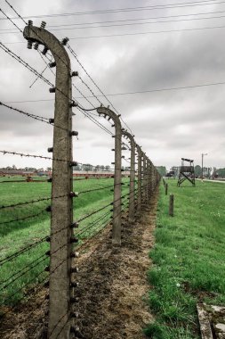 Auschwitz Birkenau, imha kampı, Polonya 'daki toplama kampı, Nazilerin toplama kampı, 2. Dünya Savaşı. Ölüm kampı. Hapishane yatakhaneleri. Soykırım Anıtı. Engelli evler. Kışlalar