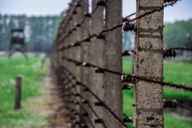 Auschwitz Birkenau, imha kampı, Polonya 'daki toplama kampı, Nazilerin toplama kampı, 2. Dünya Savaşı. Ölüm kampı. Hapishane yatakhaneleri. Soykırım Anıtı. Engelli evler. Kışlalar