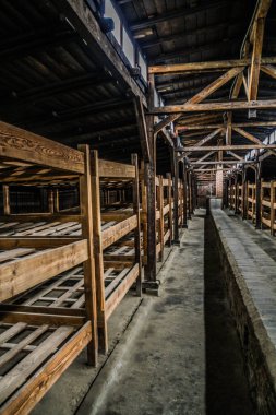 Auschwitz Birkenau, imha kampı, Polonya 'daki toplama kampı, Nazilerin toplama kampı, 2. Dünya Savaşı. Ölüm kampı. Hapishane yatakhaneleri. Soykırım Anıtı. Engelli evler. Kışlalar