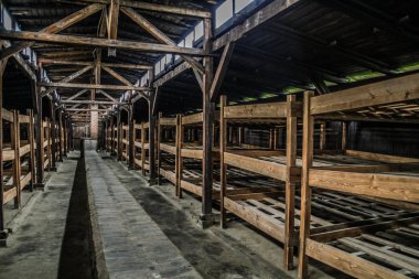 Auschwitz Birkenau, imha kampı, Polonya 'daki toplama kampı, Nazilerin toplama kampı, 2. Dünya Savaşı. Ölüm kampı. Hapishane yatakhaneleri. Soykırım Anıtı. Engelli evler. Kışlalar