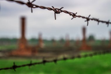 Auschwitz Birkenau, imha kampı, Polonya 'daki toplama kampı, Nazilerin toplama kampı, 2. Dünya Savaşı. Ölüm kampı. Hapishane yatakhaneleri. Soykırım Anıtı. Engelli evler. Kışlalar