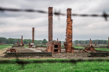 Auschwitz Birkenau, imha kampı, Polonya 'daki toplama kampı, Nazilerin toplama kampı, 2. Dünya Savaşı. Ölüm kampı. Hapishane yatakhaneleri. Soykırım Anıtı. Engelli evler. Kışlalar